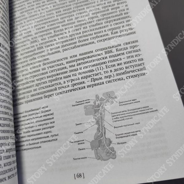 Фото товару Тіло пам&rsquo;ятає все. Бессел ван дер Колк 3571948084