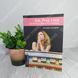 Дополнительное фото товара Eat, Pray, Love. Elizabeth Gilbert 2711981385 №1